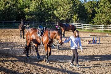 Фото номера Вилла с 2 спальнями Виллы Nature Escape - Villa- Horses - Lake Plateliai г. Paplatelė 100